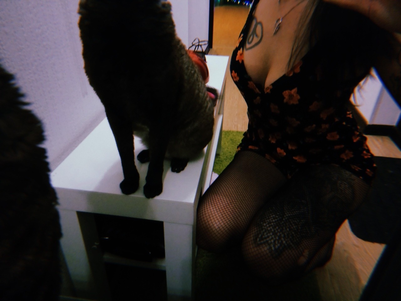 🔞КИС КИС КИЦЮНЯ🔞 - Секс в Киеве